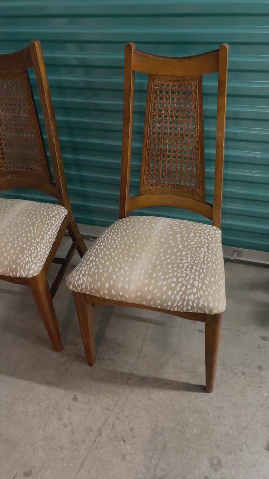 1960s Mid Century Modern Cane Back Dining Chairs - Set of 2